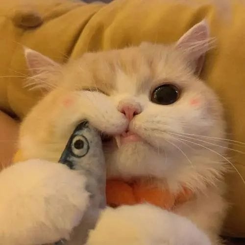 Fitri Handayani avatar